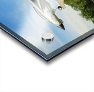 F-14 Tomcat Acrylic print