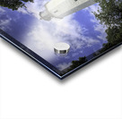 Sandy Hook Lighthouse Tower  Impression Acrylique