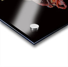 Menopause Acrylic print