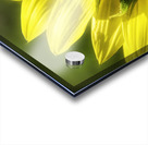 Beauty On The Back Acrylic print