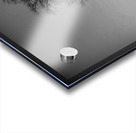 Alone In A Meadow Impression Acrylique