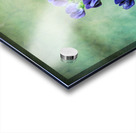 Bee Flying To A Purple Flower Impression Acrylique