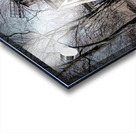 Baiting Hollow Windmill  Acrylic print