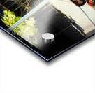 Greenport Street Musician Acrylic print