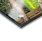 Horseshoe Fence Acrylic print