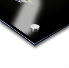 Black Crown Night Heron In Flight Impression Acrylique