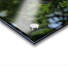 Love My Profile Acrylic print