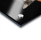 Lady Oscar Acrylic print