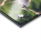 Studious Yellow Crown Impression Acrylique