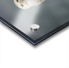 Fog and Snowy Acrylic print