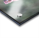 Sleeping With One Eye Open Impression Acrylique