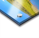 Basha Kill Acrylic print