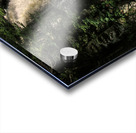 Bushkill Falls  Acrylic print