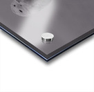 Snow In The Fog Acrylic print