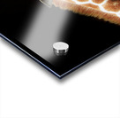 Ollie Giraffe Impression Acrylique