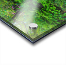 Dream Steps Impression Acrylique