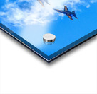 Blue Angels Salute Long Island  Impression Acrylique