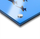 Blue Angels Over Long Island  Acrylic print