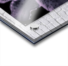 Black And White Stargazer Lily  Impression Acrylique