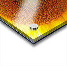 Fibonaccis Spiral  Acrylic print