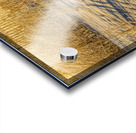 Golden Light On The Dune Impression Acrylique