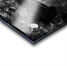 Beaverkill Covered Bridge In Black and White Impression Acrylique