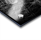 Bittern Reflection In Black and White Acrylic print