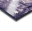 The Winter Tunnel Acrylic print