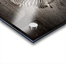 Sleeping While Standing In Black and White Acrylic print