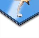 Osprey Takeoff Acrylic print