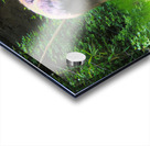 Mid Day Nap Impression Acrylique