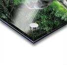 Monkeying Around Impression Acrylique