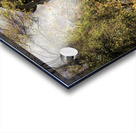 Rapunzels Summer Home Impression Acrylique