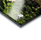 The Secret Bridge Acrylic print