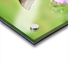 Swallowtail On Wild Flowers Acrylic print