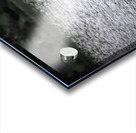 What Will The Osprey Catch Impression Acrylique