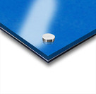 Jellyfish Acrylic print