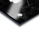 Sharing A Branch Impression Acrylique