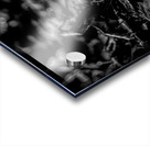 White Feather Acrylic print