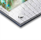 Peacock Feathers Impression Acrylique