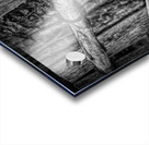 Horseshoe Fence In Black and White Impression Acrylique