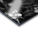 Red Eye Impression Acrylique