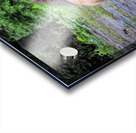 Will The Lion Sleep Tonight Acrylic print