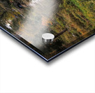 Overlooking Cedarmere Pond Impression Acrylique