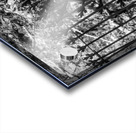 Iron Fence Acrylic print