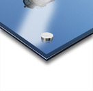 5 Mile Harbor Acrylic print