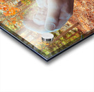 In The Safety Of His Hand Acrylic print