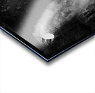 Bushkill Falls In Black and White Acrylic print