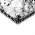 A Snag In Black and White Impression Acrylique