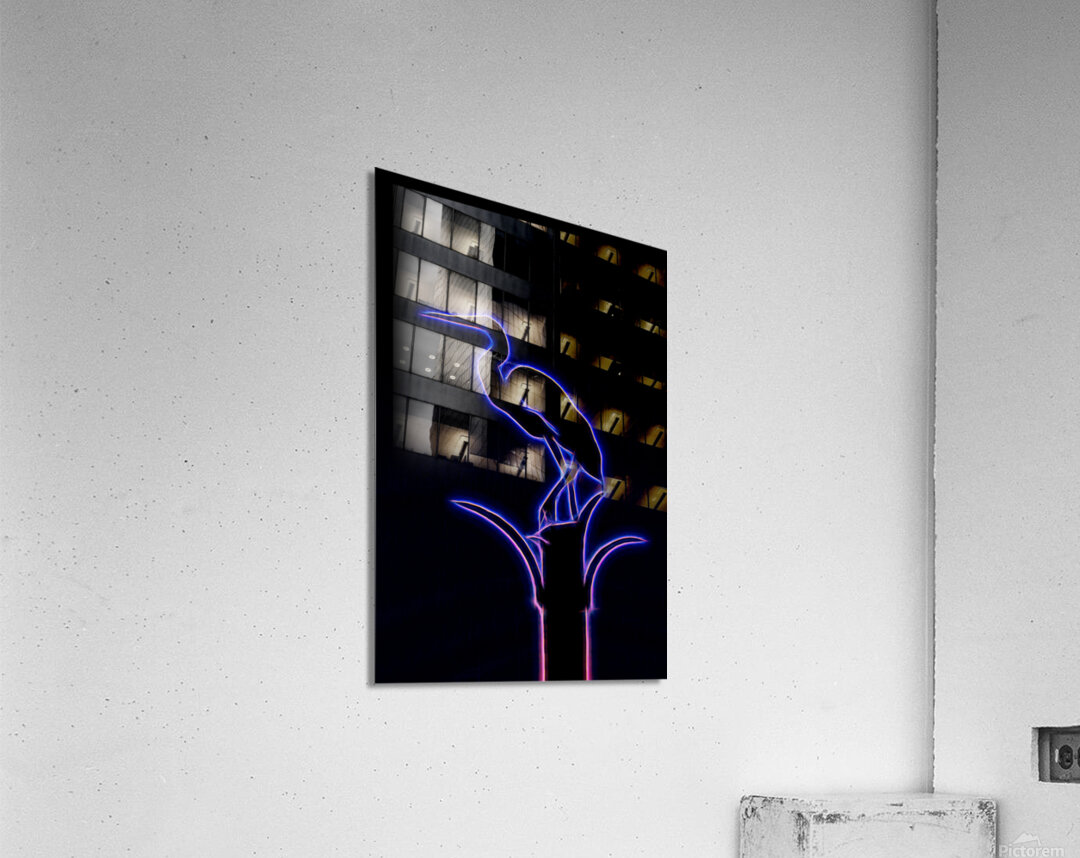 Neon Silhouette Of An Egret Acrylic Print
